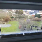 Kiekut